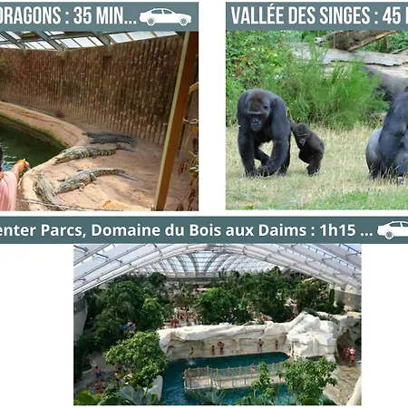 Duplex Le Coligny - Calme - Proche Centre Poitiers, Patinoire, Universite - Chu - Futuroscope A 20min