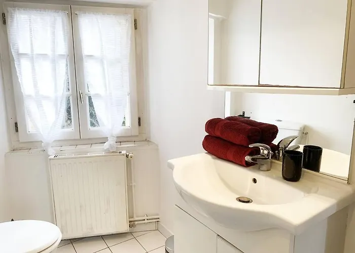 Duplex Le Coligny - Calme - Proche Centre Poitiers, Patinoire, Universite - Chu - Futuroscope A 20min Apartment