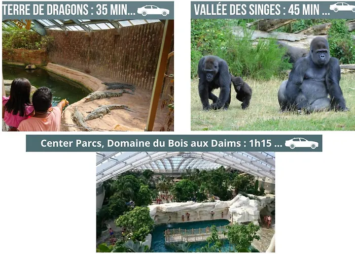 Duplex Le Coligny - Calme - Proche Centre Poitiers, Patinoire, Universite - Chu - Futuroscope A 20min